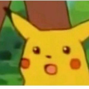 Meet your Posher, Diego